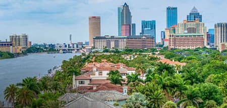 Tampa picture
