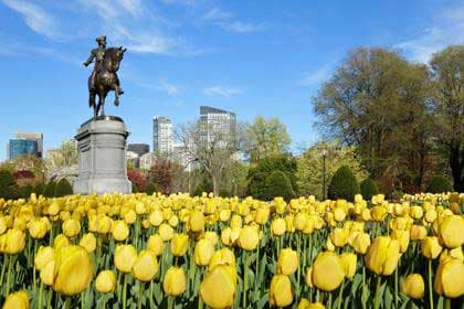 Boston